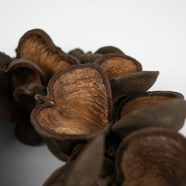 Krans 38cm, Badam Nut - Bilde 2