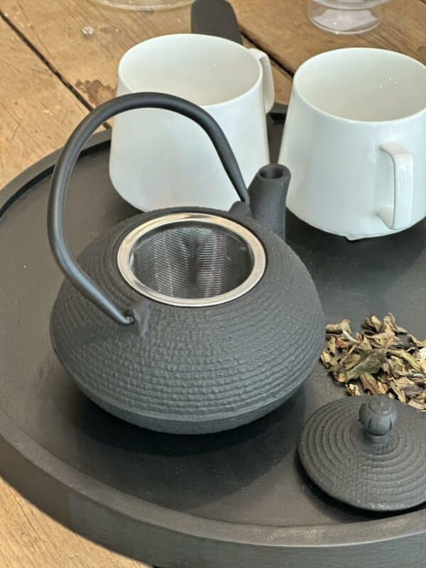 Tekanne 0,5L Kyoto jern - Bilde 2