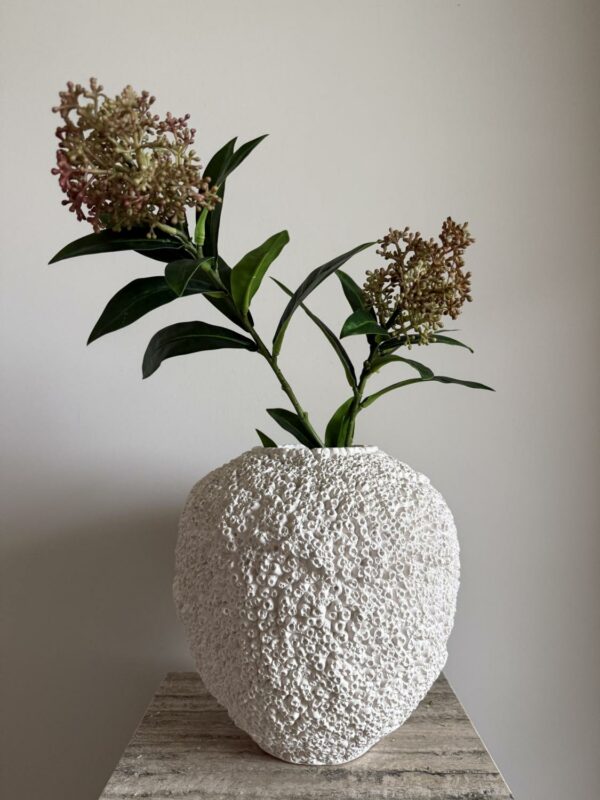 Skimmia grønn/rød