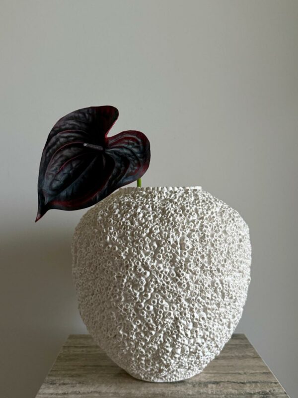 Anthurium burgunder - Bilde 2