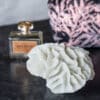 Coral, gills 15x14x10