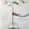 Glassvase rund h38 - klar