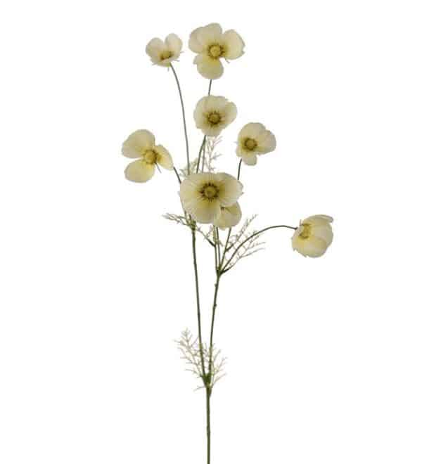 Rosenskära