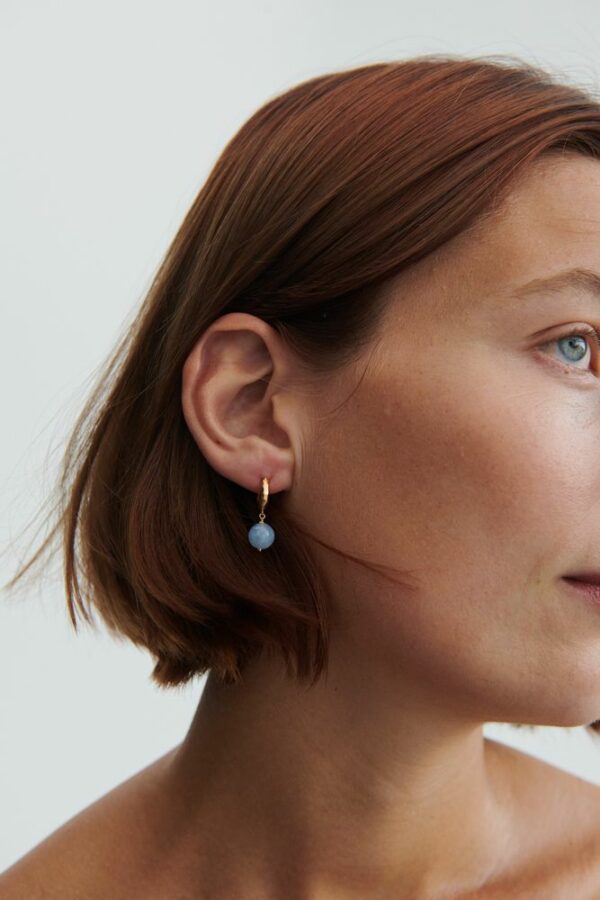 Blue sky earrings gull