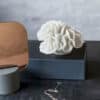 Coral, gills 15x14x10 - Bilde 2
