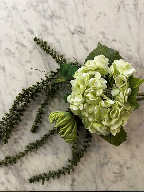 Hortensia lys grønn - Bilde 2