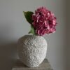 Hortensia rosa