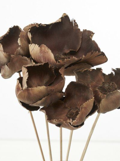 Palm cap, 5pk dekoration
