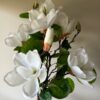 Magnolia hvit - Bilde 3
