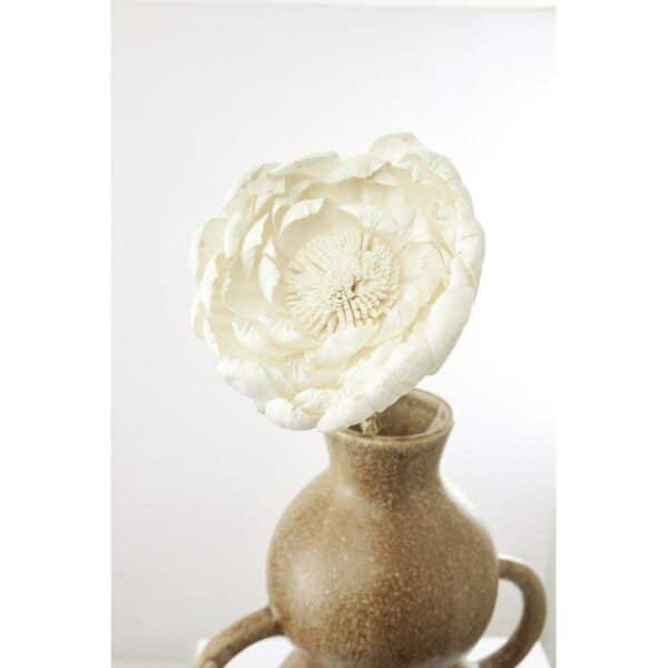 Peony natural dekoration - Bilde 2