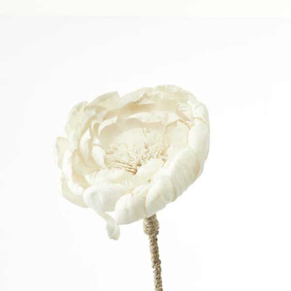 Peony natural dekoration - Bilde 3