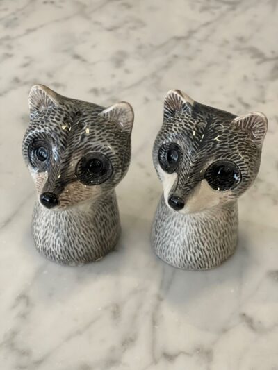 River racoon S&P
