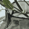 Turn vase, smoked grey - Bilde 3