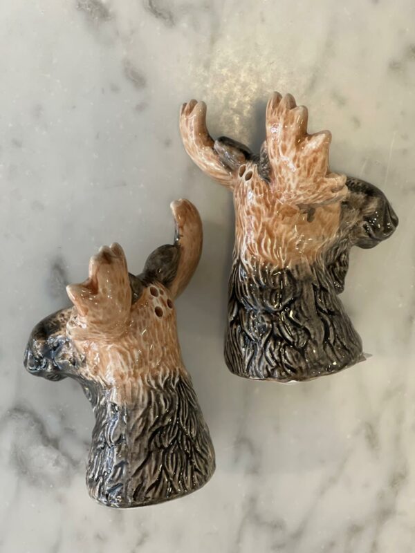 Molly moose S&P - Bilde 3